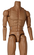 Caucasian Male Body