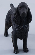 Cocker Spaniel Dog (Black)